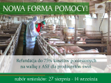 News zdjęcie id 247